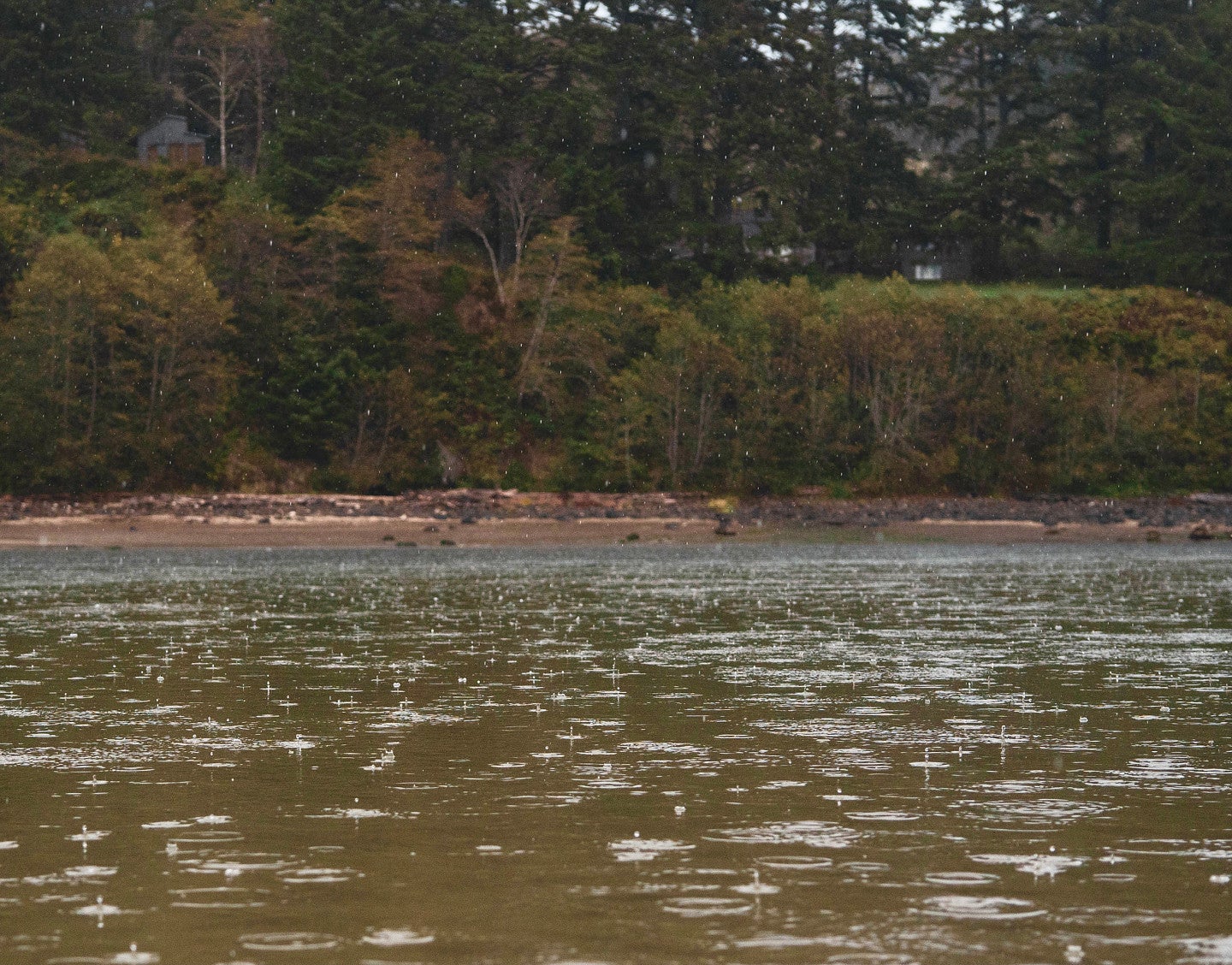 raindrops falling on a river with trees along the shore