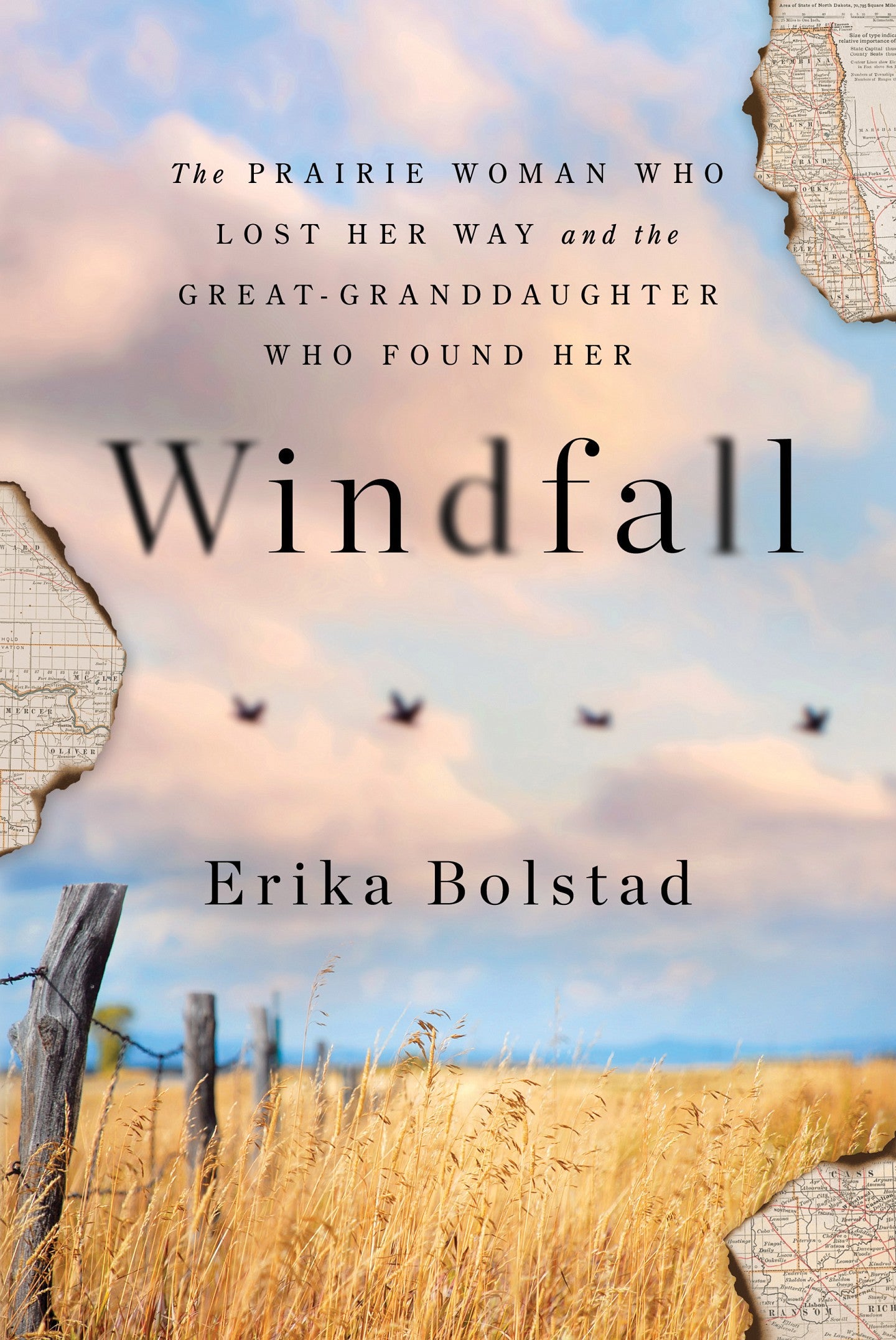 book cover of Windfall by Erika Bolstad