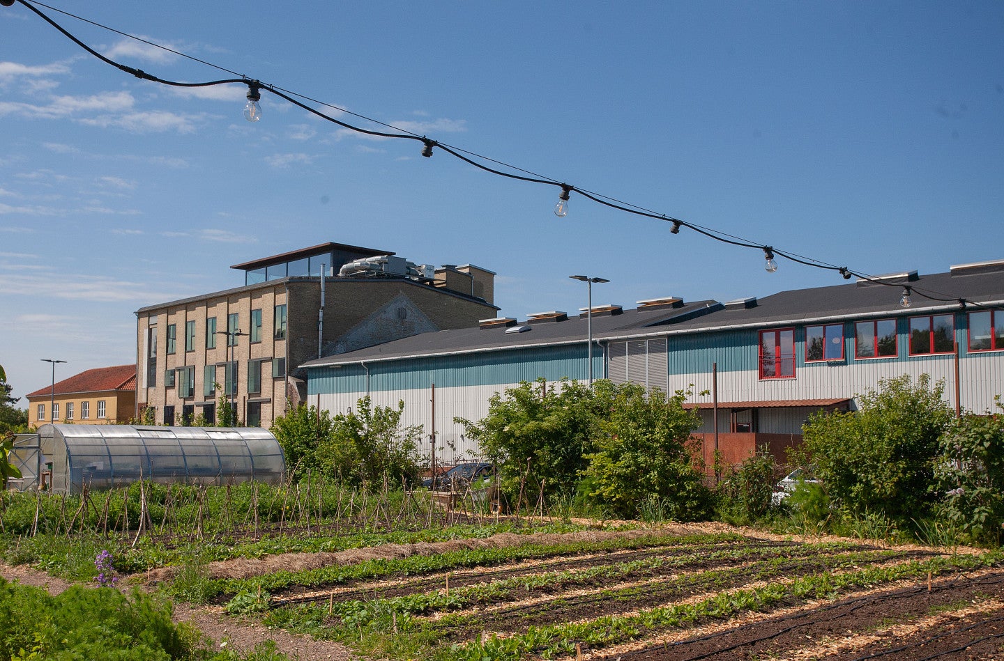 An industrial building in Copenhagen is juxtaposed with an urban farm in the foreground