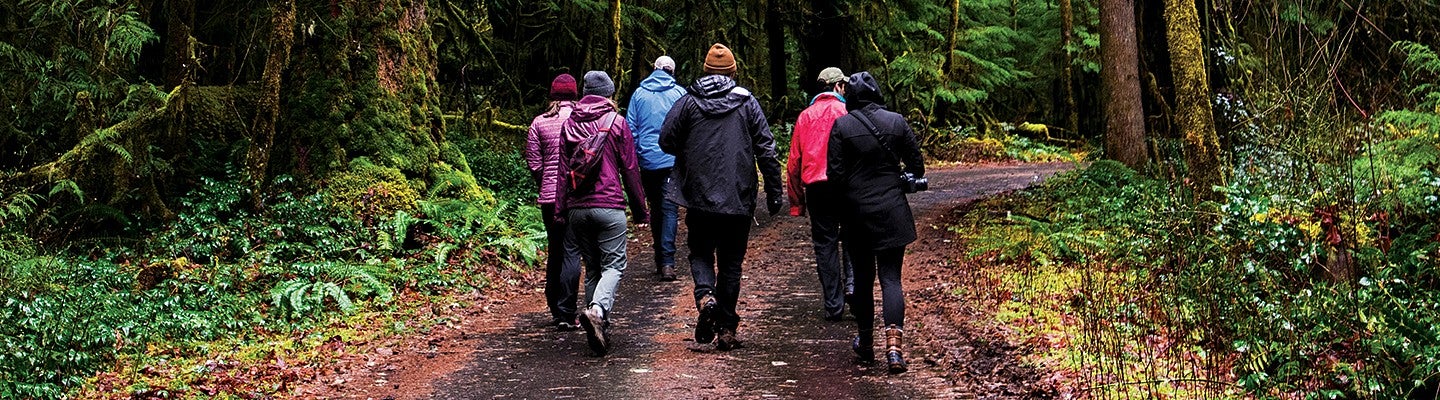 Students walking on a trail in the woods in the rain