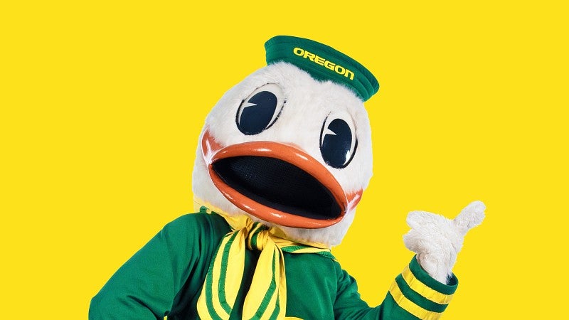 The Oregon Duck mascot on a yellow background
