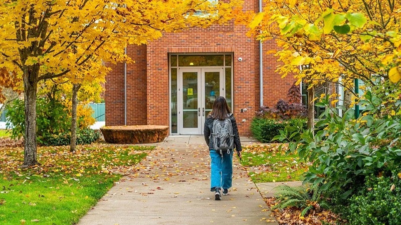 A student walks away from the camera towards a campus building with trees covered in golden leaves out front