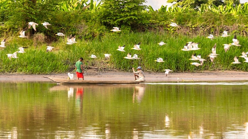 a flock of white birds crosses a riverbank in Colombia above a small boat holding two people