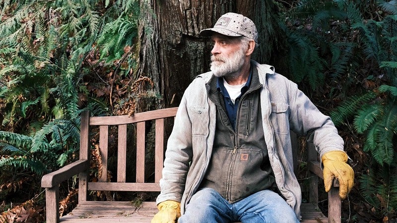 a man with a gray beard sits on a wooden bench surrounded by pine trees and ferns