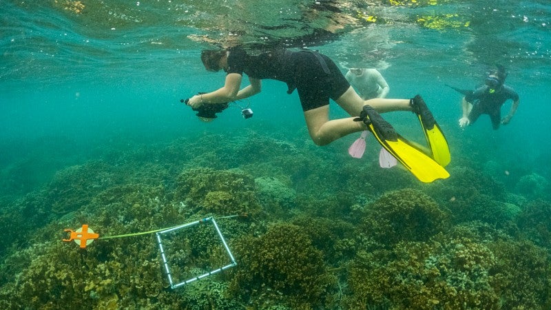 people wearing snorkeling gear shoot underwater photos of coral