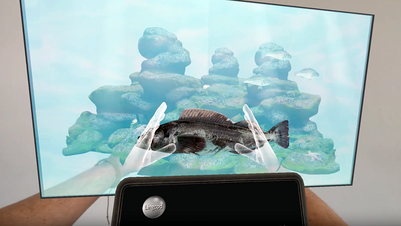 screen view of an augmented reality experience featuring a fish held by AR hands