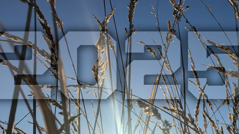 photo of wheat against a blue sky with stylized 2025 headline
