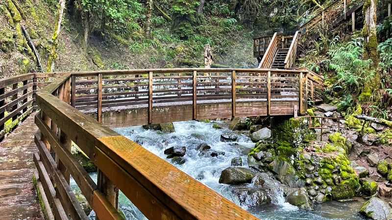 a mountain river flows under a wooden boardwalk and bridge in front of a backdrop of evergreen trees