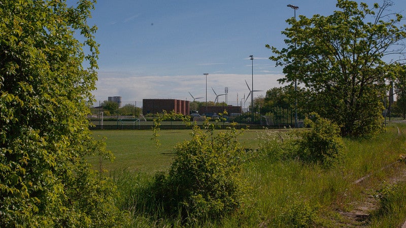 an industrial building in Copenhagen framed by trees and grass in the foreground