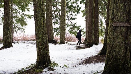 Student walking through the snow