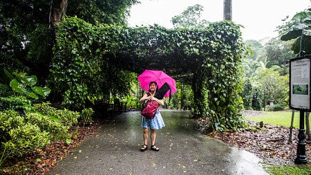 Kezia Setyawan holding a light kit in the middle of monsoon season at the Singapore Botanic Gardens. Photo by Kezia Setyawan.