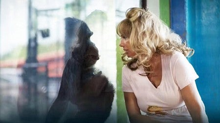 still from HBO's Chimp Crazy showing a woman and a chimpanzee staring at each other through glass