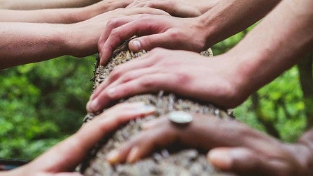 several hands on a tree branch