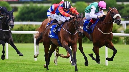 Jockeys ride on horses in a horse race