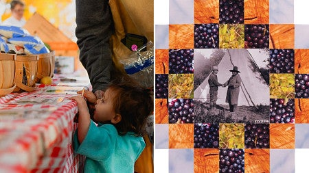 digital composite image of a child reaching for fruit on a table next to a digital collage themed around the history of huckleberry picking