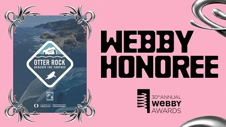 digital graphic that says "Webby Honoree" on a pink background with a thumbnail of the Otter Rock VR project