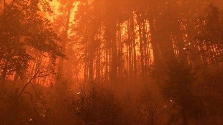 The Holiday Farm Fire in the McKenzie Valley