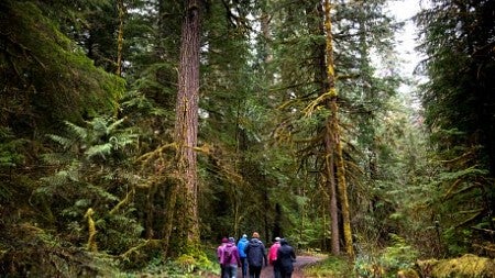 Group of students walking through the Willamette National Forest