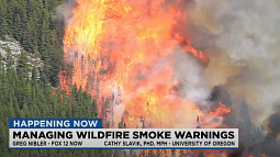 screenshot of a news broadcast showing a wildfire