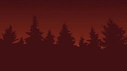 evergreen trees silhouetted against a hazy red sky