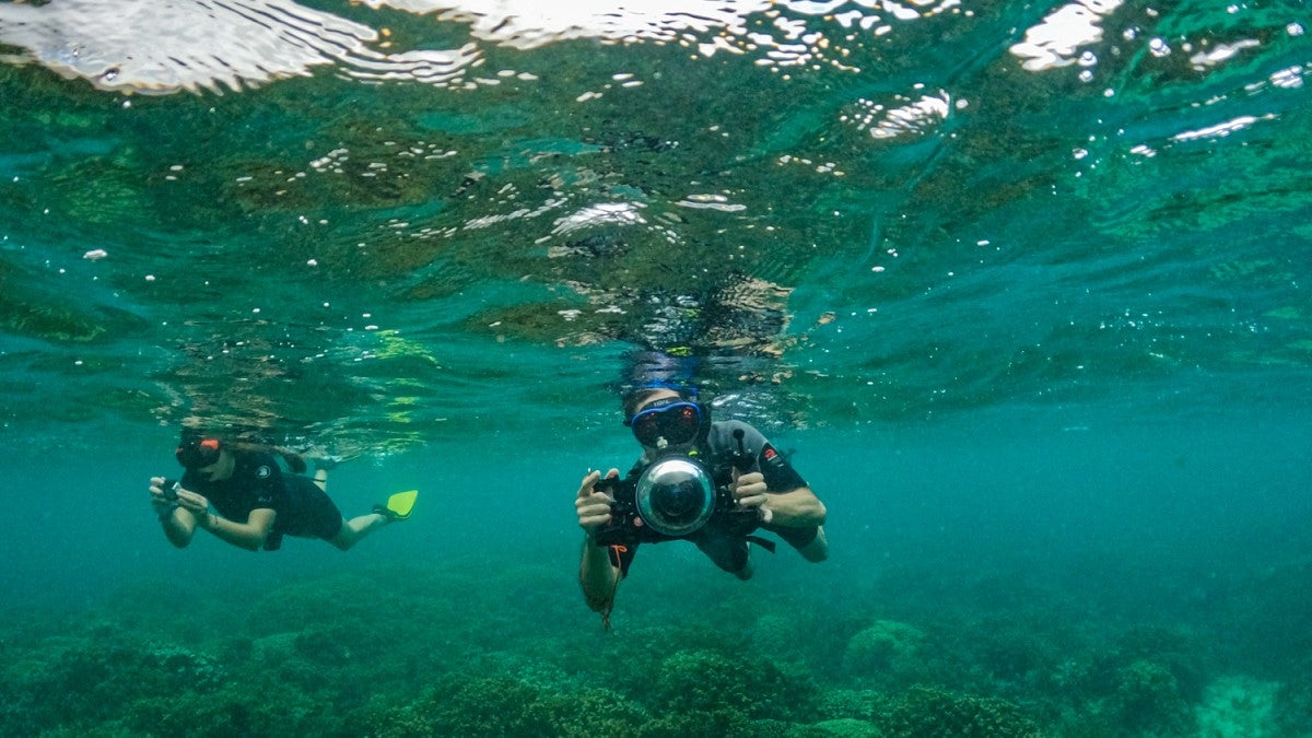 Beatriz Mira and Sam Morrison dive underwater with video equipment