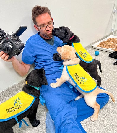 Zach Putnam wears blue scrubs and holds a video camera while labrador puppies in yellow training vests climb on him and lick his face