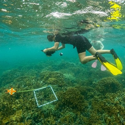 people wearing snorkeling gear shoot underwater photos of coral
