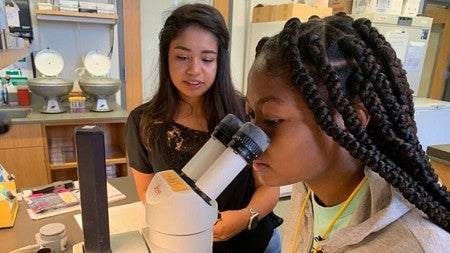 Two young women take turns looking at a slide through a microscope in a classroom.