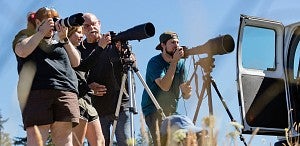 A male professor showing a female student how to use a digital camera while two other students are around taking photos A male professor showing a female student how to use a digital camera while two other students are around taking photos