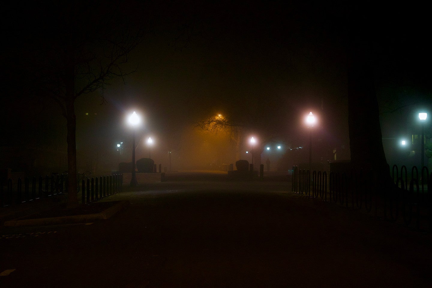 photo of the university of oregon campus at night with pastel colored street lights glowing in the mist