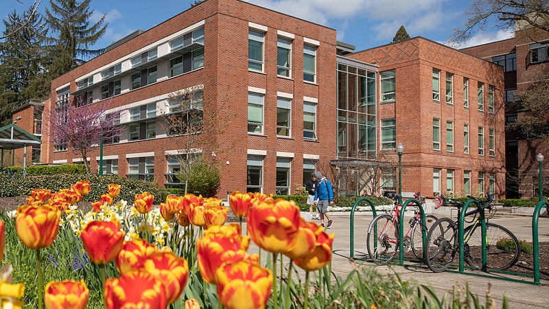 Exterior view of Allen Hall with vibrant yellow and orange tulips in the foreground