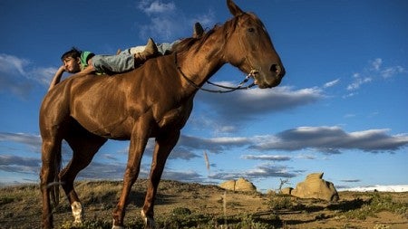 Young boy laying on horse in the desert 