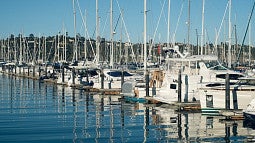 A marina with sailboats, and blue sky and blue water.