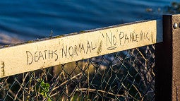 grafitti on a fence that says "Deaths Normal 'No' Pandemic"