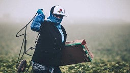 a worker wearing a hat and face covering works in a berry field