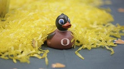A rubber duck with Oregon 'O' sits on a table surrounded by confetti.