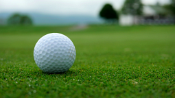 A white golf ball sits on closely mowed green grass (By Jill Rose from Pexels).