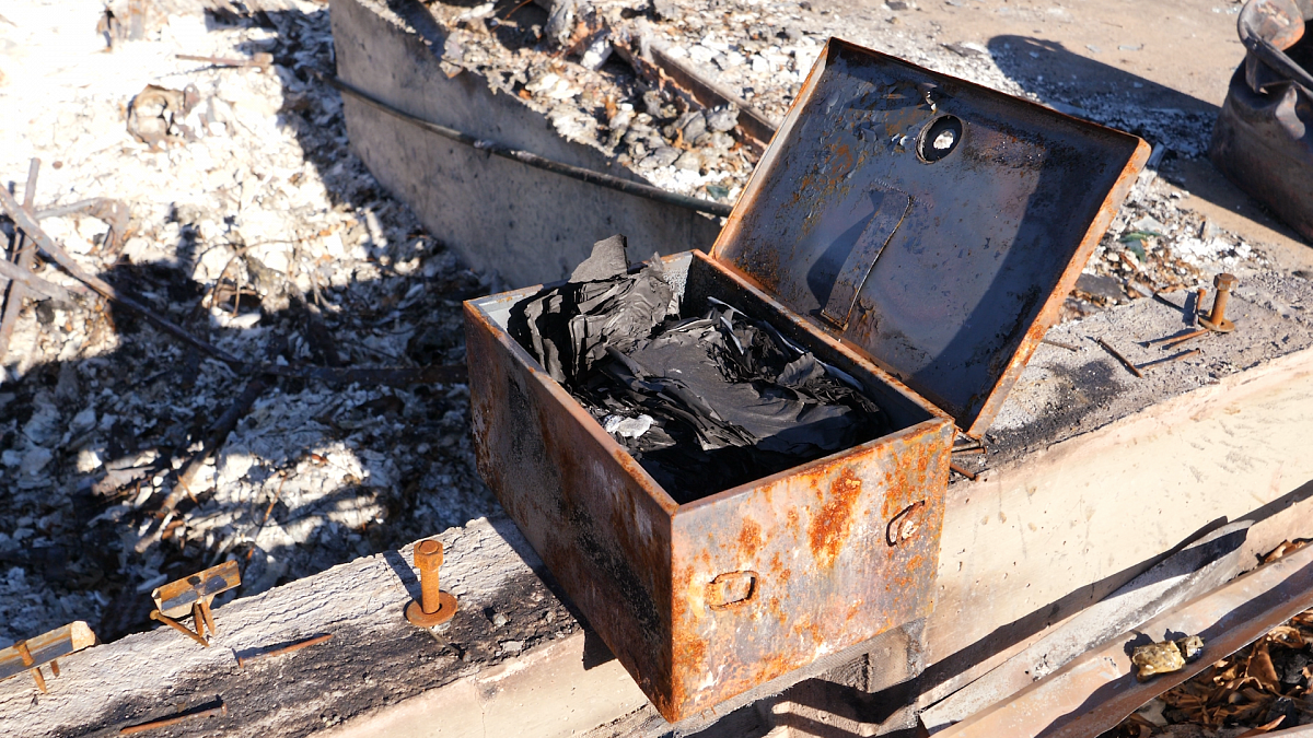 A burned lockbox with charred documents sits in a burnt landscape.